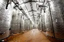 Wine Process Plant