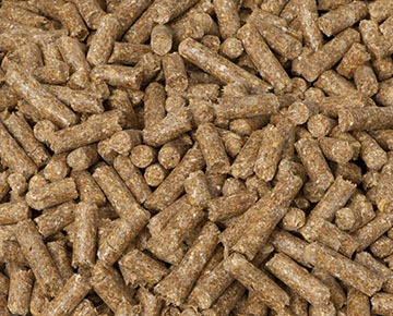 Animal Feed Pelletizer