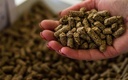 Animal Feed Pelletizer