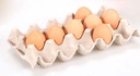 Egg Tray Manufacturing machine 